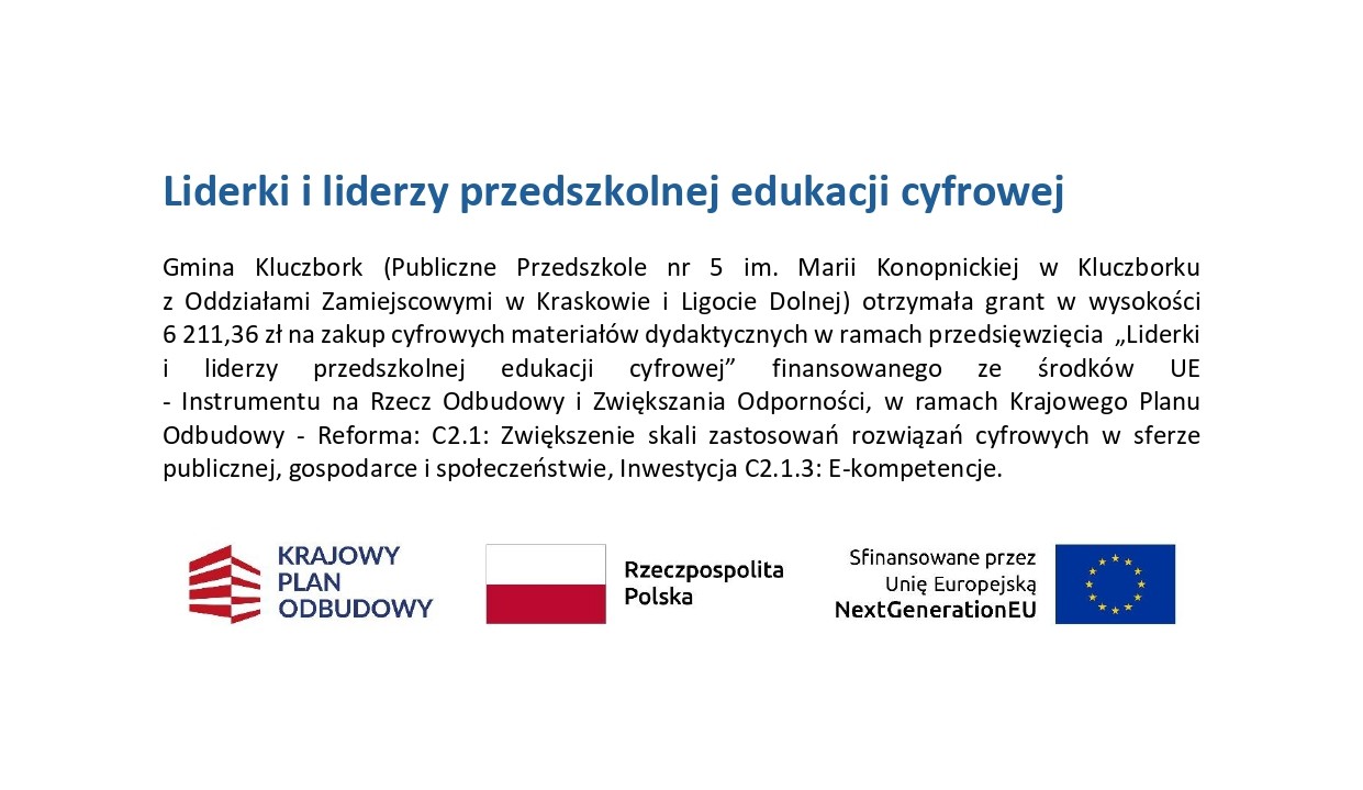 Opis projektu Liderki i Liderzy